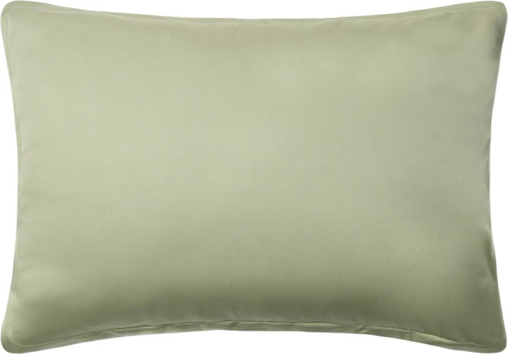 

Постельное белье Sima-Land Home Modal 10518616 (оливковый)