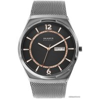 Наручные часы Skagen SKW6575