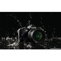 Беззеркальный фотоаппарат Olympus OM-D E-M5 Mark II Kit 12-50mm