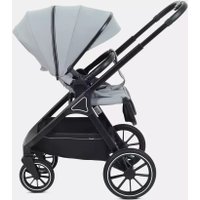 Универсальная коляска Rant Terra RA163 (2 в 1, grey)