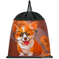 Мешок для обуви ACROSS S-10