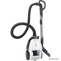 Пылесос Electrolux Pure D9 PD91-6IWX