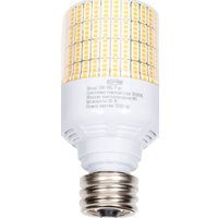 Светодиодная лампочка CPS T75-C-30W-E27 3000К