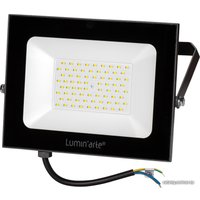 Уличный прожектор Luminarte LFL-100W/05