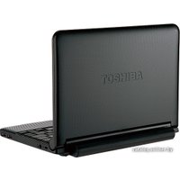 Нетбук Toshiba NB250-107 (PLL2PE-00200WEN)