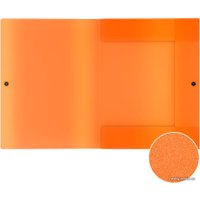 Набор папок Erich Krause Matt Neon 50411 (4 шт)