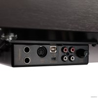 Цифровое пианино Rockdale Fantasia RDP-7088 (розовое дерево)