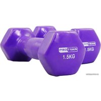 Набор гантелей Protrain HC4005-1.5 2x1.5 кг