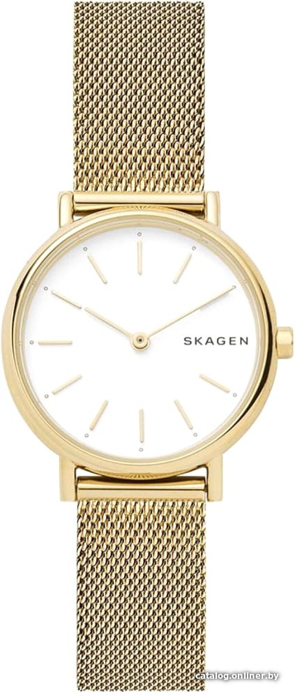 Наручные часы Skagen SKW2693