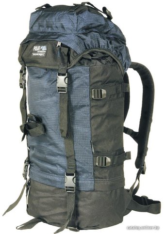 Polar П930 (синий)