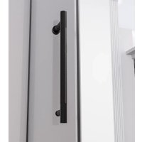 Душевая дверь Veconi Alassio AL-120-11-BB-C4 (стекло черное/черный)