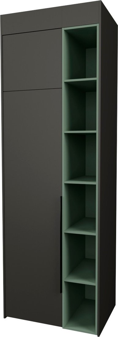 Шкаф распашной Рэйгрупп Рэй S274-B1-EBL В1 (дуб веллингтон/кобальт/зеленый самшит)