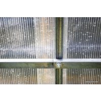 Теплица Завод теплиц Гарант Триумф 10 м (4 мм поликарбонат)