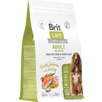 Сухой корм для собак Brit Dog Adult Medium Healthy Skin&Shiny Coat с лососем и индейкой 3 кг