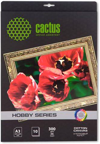 

Холст CACTUS Холст A3 300 г/м2 10 листов [CS-СA326010]