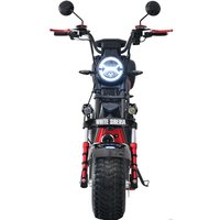 Электроскутер White Siberia CityCoco WS-PRO 2500w 21Ah (с черными брызговиками)