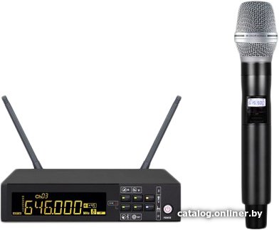 Радиосистема Biema DG-100