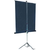 Проекционный экран Lumien Master View 153x203 (LMV-100107)