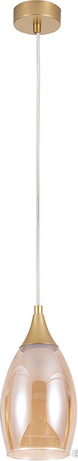 Светильник Arte Lamp Barry A7951SP-1GO