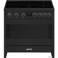 Кухонная плита Smeg B95IMAN9