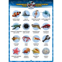 Книга издательства Знаток Говорящий англо-русский и русско-английский словарь (Бахметьев А.)