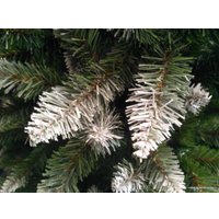 Ель GreenTerra канадская с белыми кончиками 2.2 метра