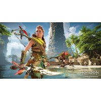  Horizon: Запретный запад. Специальное издание для PlayStation 4