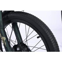 Электровелосипед MyWay Truck 1.0 500 24 (15, темно-зеленый)