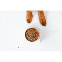 Сухой корм для собак Nature's Protection SC Red Coat Grain Free Salmon NPSC47228 1.5 кг