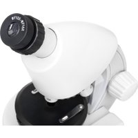 Микроскоп Levenhuk Discovery Micro Polar с книгой 77952