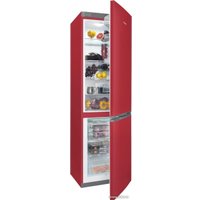 Холодильник Snaige RF58SM-S5RB2E