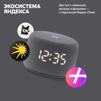 Умная колонка Яндекс Станция Лайт 2 (серый)