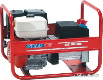 Бензиновый генератор ENDRESS ESE 604 DHS