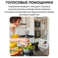 IP-камера Baseus Security P1 3K White