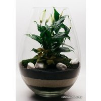 Флорариум Home Garden Капля Женское счастье