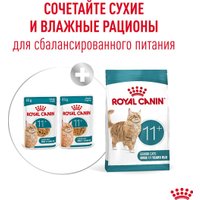 Консервированный корм для кошек Royal Canin Ageing 11+ in Jelly кусочки в желе 12x85 г