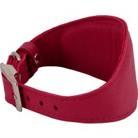 Ошейник Каскад 11015027-11 (бордовый)