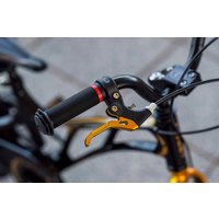 Детский велосипед Lenjoy Sports Pilot 18 LS18-9BL (черный/желтый)