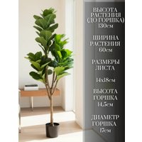 Искусственное растение Merry Bear Home Decor Фикус Лировидный AX297145