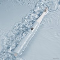 Ирригатор  Evolution WF-01 + Электрическая зубная щетка Enchen T501 (серый)