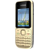 Кнопочный телефон Nokia C2-01