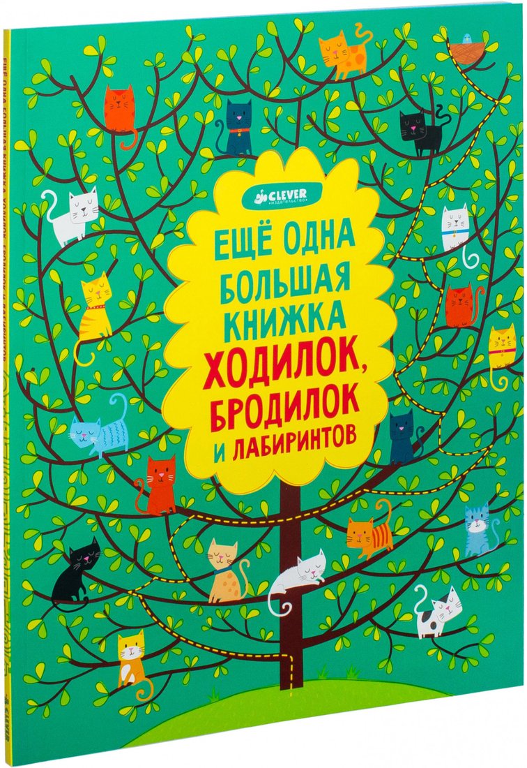 

Книга издательства Clever. Еще одна большая книжка ходилок, бродилок и лабиринтов