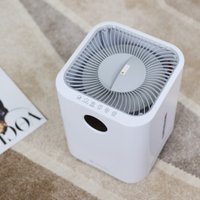 Увлажнитель воздуха Evolution HF-577 Smart + набор кружек Makkua Cup Cozyday MC270