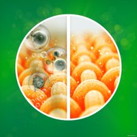 Капсулы для стирки Ariel Все в 1 Pods Color (10 шт)