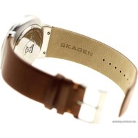 Наручные часы Skagen SKW6099