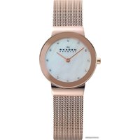 Наручные часы Skagen 358SRRD