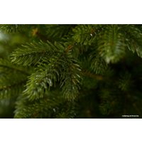 Ель GreenTerra Аляска темная 1.2 м