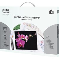 Картина по номерам Три совы Цветы орхидеи КХп_48159