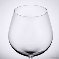 Набор бокалов для вина Stolzle Grand CuveeInVino Burgunder 2100000-6 в Бресте