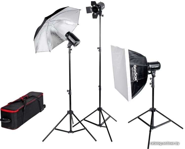 Комплект студийного света Godox E250-D